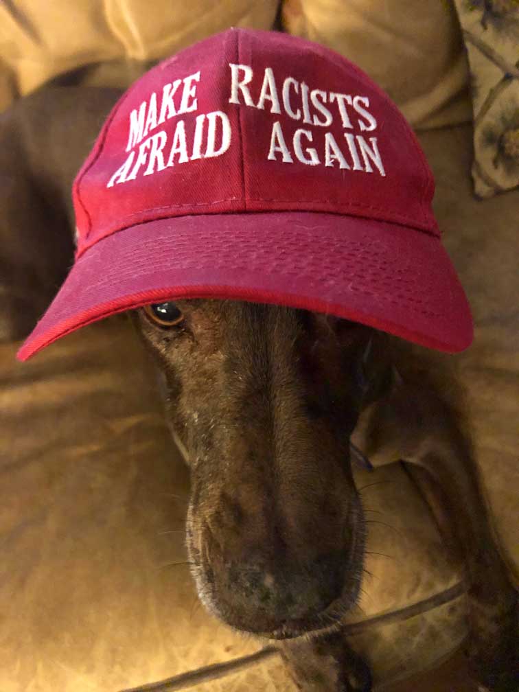 Ginger the dog with Make Racists Afraid Again baseball cap